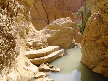 This photo of an oasis in Chebika, Tunisia (near the Sahara) was taken by Marek Vesely of Velky Krtis, Slovakia.